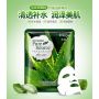 Маска-салфетка для лица с алое вера увлажняющая IMAGES Pure Source Aloe Rubber (40г)